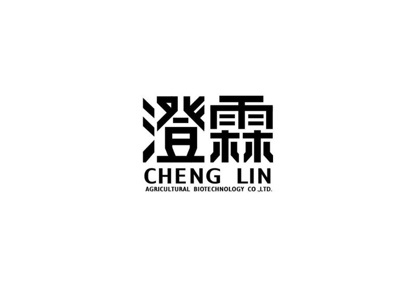 澄霖藝術(shù)字體設(shè)計(jì)-趣字體