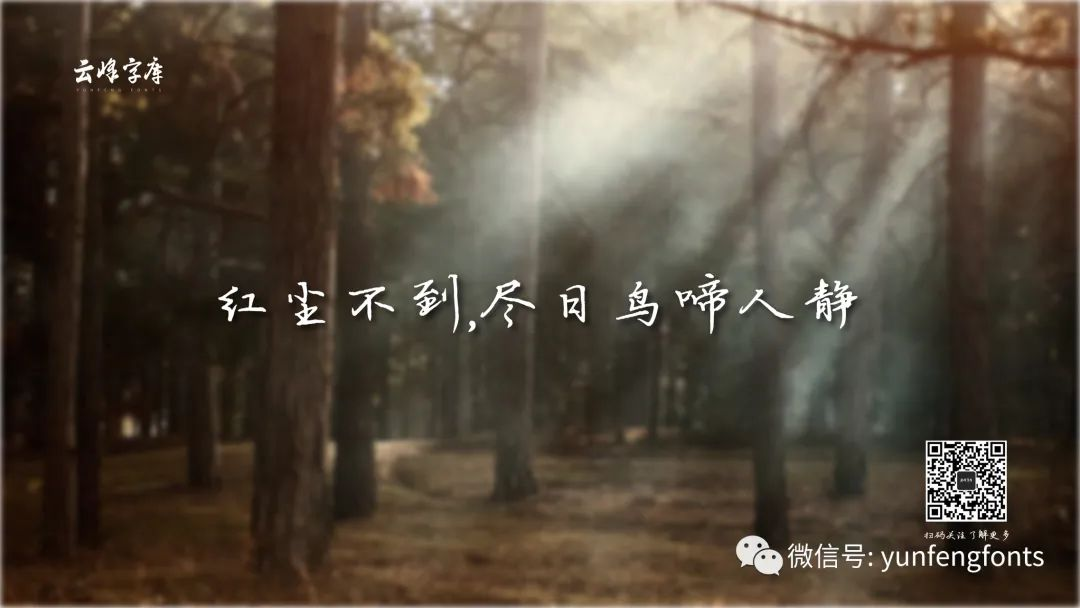 云峰寒蟬體 云峰寒蟬體